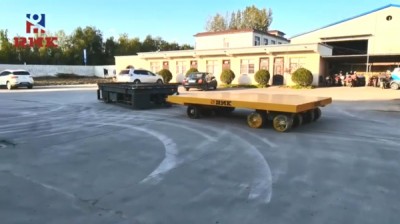 Прилагођена корпа за пренос без тренмана